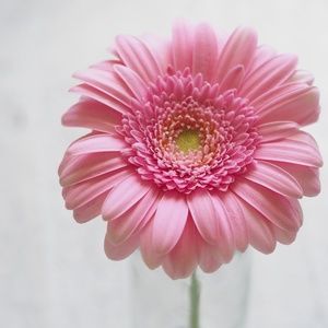 Like this post to get notified when I go live!! 🫶